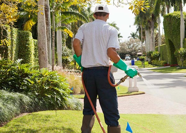 About Tyner KY Pest Control